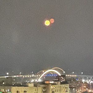 Meet your Posher, Kassandra